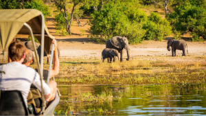 Complex or Luxury Trips? Sorted.